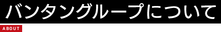 バンタングループについて